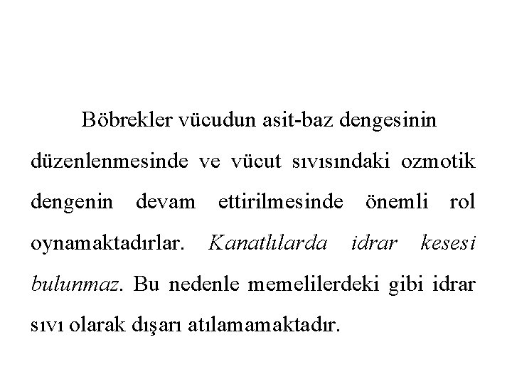 Böbrekler vücudun asit-baz dengesinin düzenlenmesinde ve vücut sıvısındaki ozmotik dengenin devam ettirilmesinde önemli rol