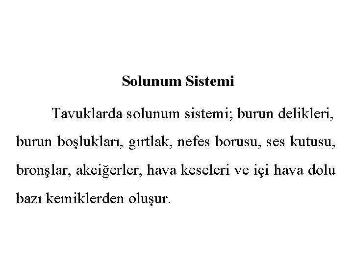 Solunum Sistemi Tavuklarda solunum sistemi; burun delikleri, burun boşlukları, gırtlak, nefes borusu, ses kutusu,
