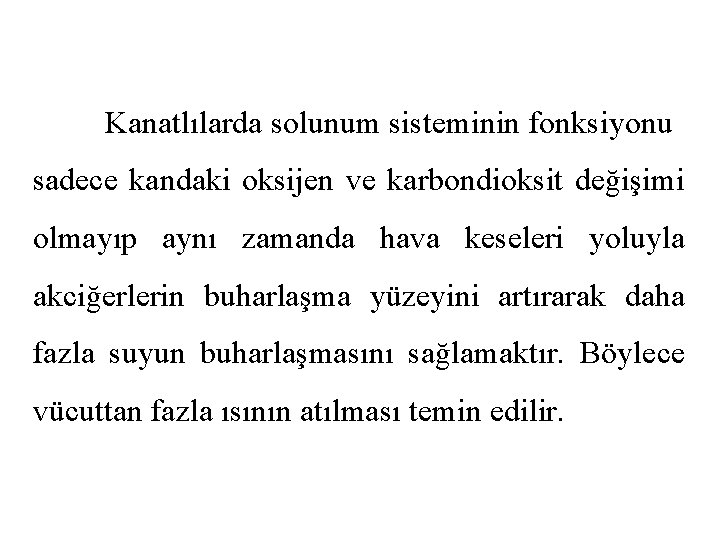 Kanatlılarda solunum sisteminin fonksiyonu sadece kandaki oksijen ve karbondioksit değişimi olmayıp aynı zamanda hava