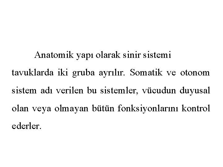 Anatomik yapı olarak sinir sistemi tavuklarda iki gruba ayrılır. Somatik ve otonom sistem adı