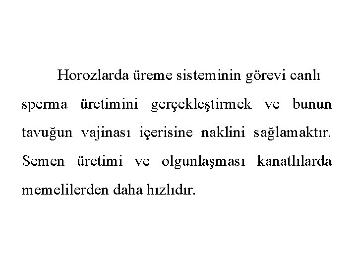 Horozlarda üreme sisteminin görevi canlı sperma üretimini gerçekleştirmek ve bunun tavuğun vajinası içerisine naklini