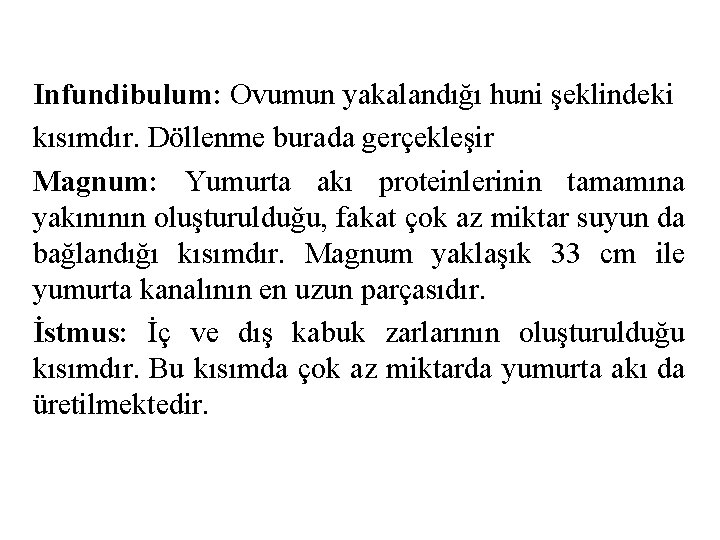 Infundibulum: Ovumun yakalandığı huni şeklindeki kısımdır. Döllenme burada gerçekleşir Magnum: Yumurta akı proteinlerinin tamamına