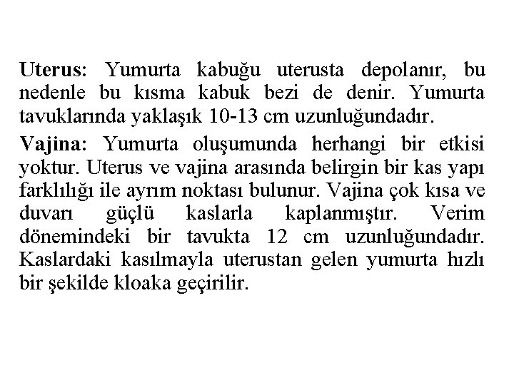 Uterus: Yumurta kabuğu uterusta depolanır, bu nedenle bu kısma kabuk bezi de denir. Yumurta
