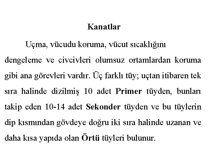 Kanatlar Uçma, vücudu koruma, vücut sıcaklığını dengeleme ve civcivleri olumsuz ortamlardan koruma gibi ana