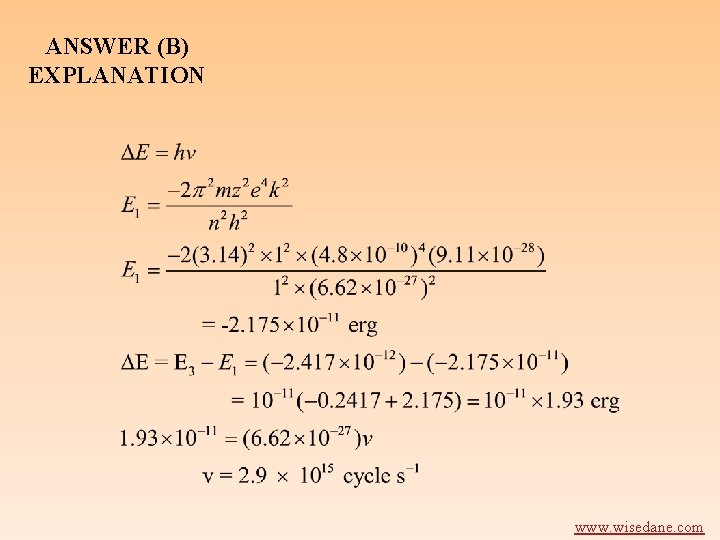 ANSWER (B) EXPLANATION www. wisedane. com 