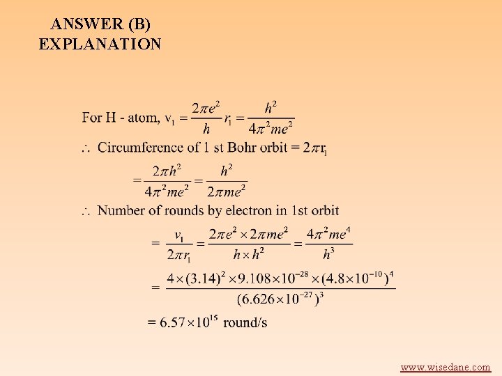 ANSWER (B) EXPLANATION www. wisedane. com 