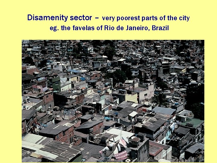 Disamenity sector – very poorest parts of the city eg. the favelas of Rio