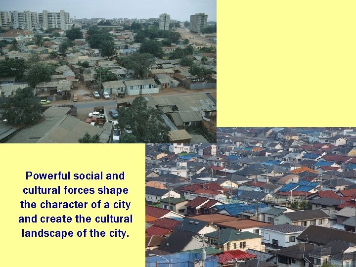 Powerful social and cultural forces shape the character of a city and create the