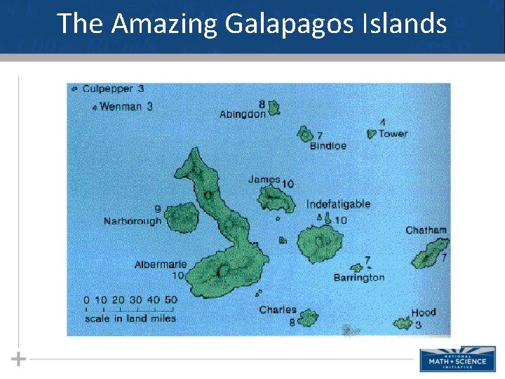 The Amazing Galapagos Islands 