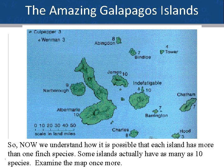 The Amazing Galapagos Islands So, NOW we understand how it is possible that each