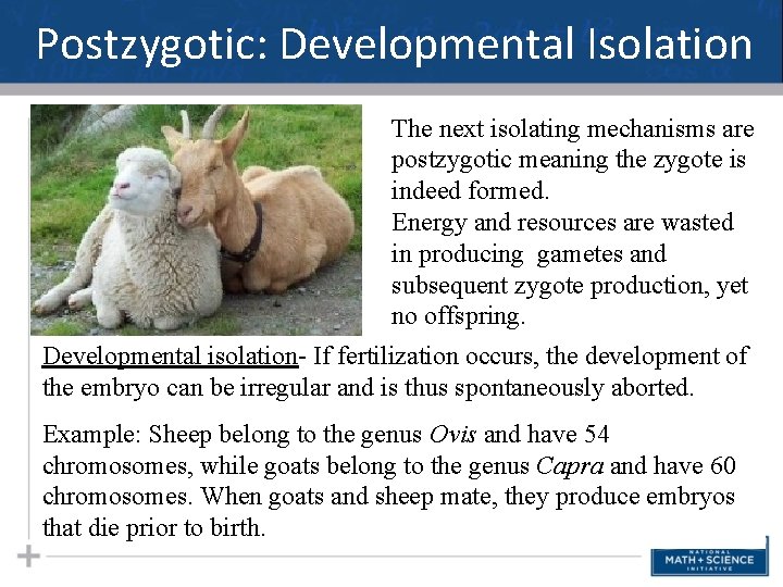 Postzygotic: Developmental Isolation The next isolating mechanisms are postzygotic meaning the zygote is indeed
