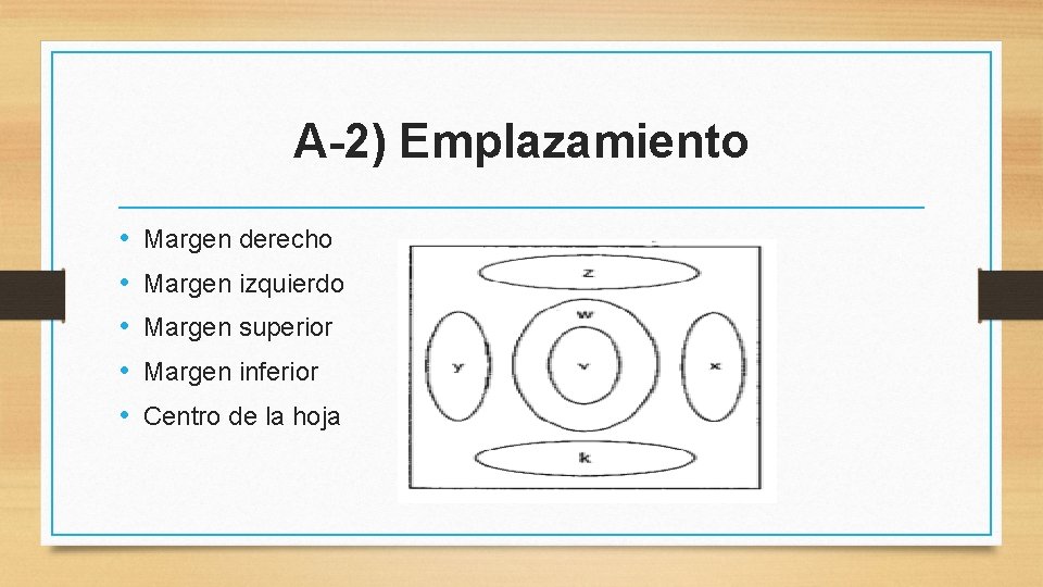 A-2) Emplazamiento • • • Margen derecho Margen izquierdo Margen superior Margen inferior Centro