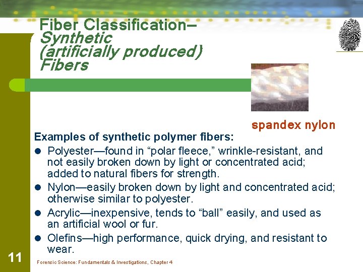 Fiber Classification— Synthetic (artificially produced) Fibers spandex nylon 11 Examples of synthetic polymer fibers: