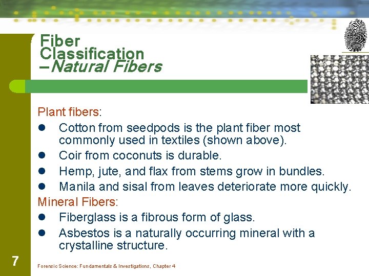 Fiber Classification —Natural Fibers Plant fibers: l Cotton from seedpods is the plant fiber