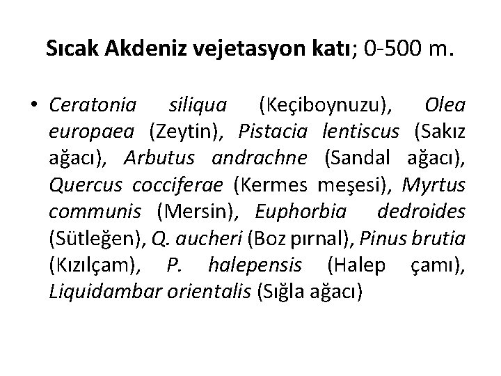 Sıcak Akdeniz vejetasyon katı; 0 -500 m. • Ceratonia siliqua (Keçiboynuzu), Olea europaea (Zeytin),