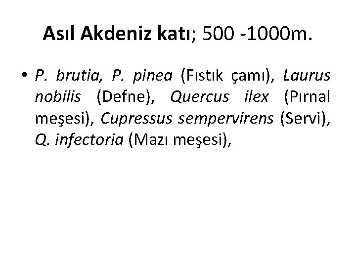 Asıl Akdeniz katı; 500 -1000 m. • P. brutia, P. pinea (Fıstık çamı), Laurus