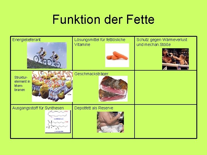 Funktion der Fette Energielieferant Strukturelement in Membranen Ausgangsstoff für Synthesen Lösungsmittel für fettlösliche Vitamine