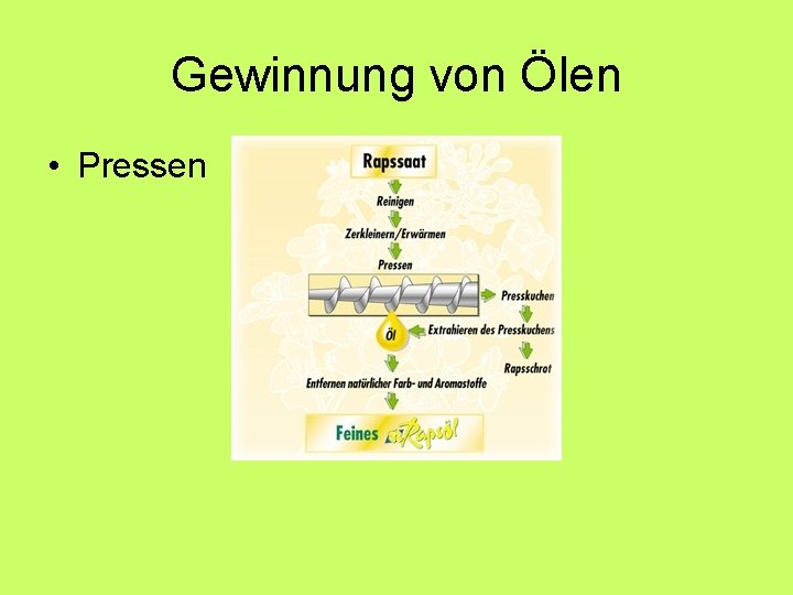 Gewinnung von Ölen • Pressen Gewinnung von Ölen • Pressen