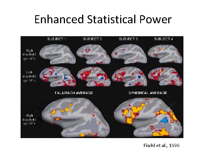 Enhanced Statistical Power Fischl et al. , 1999 