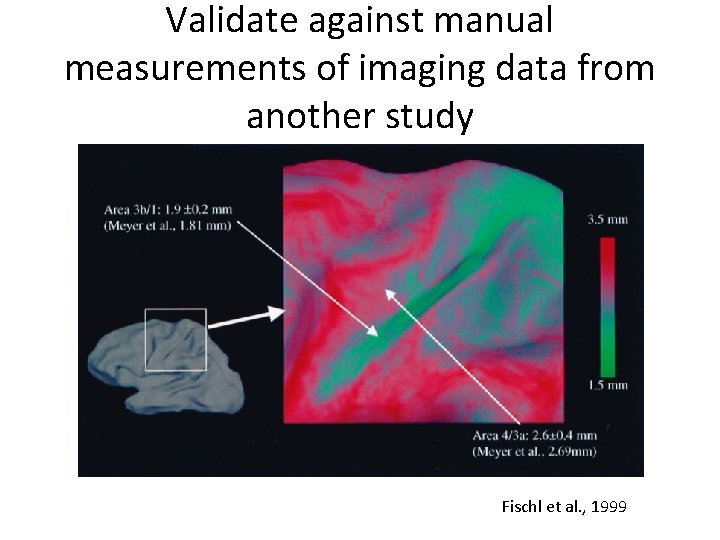 Validate against manual measurements of imaging data from another study Fischl et al. ,