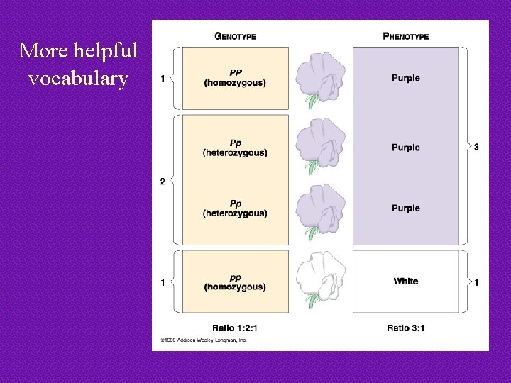 More helpful vocabulary 