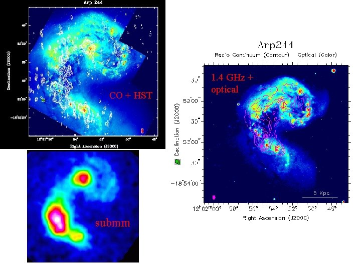 CO + HST submm 1. 4 GHz + optical 