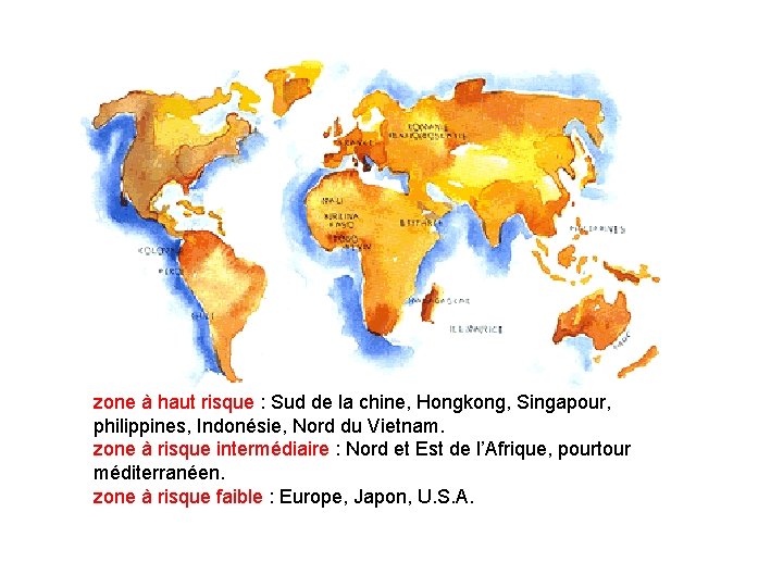 zone à haut risque : Sud de la chine, Hongkong, Singapour, philippines, Indonésie, Nord