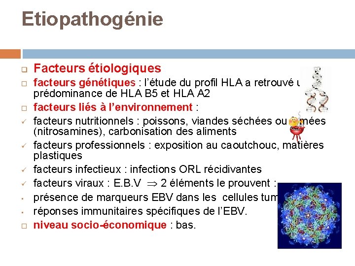 Etiopathogénie q ü ü • • Facteurs étiologiques facteurs génétiques : l’étude du profil