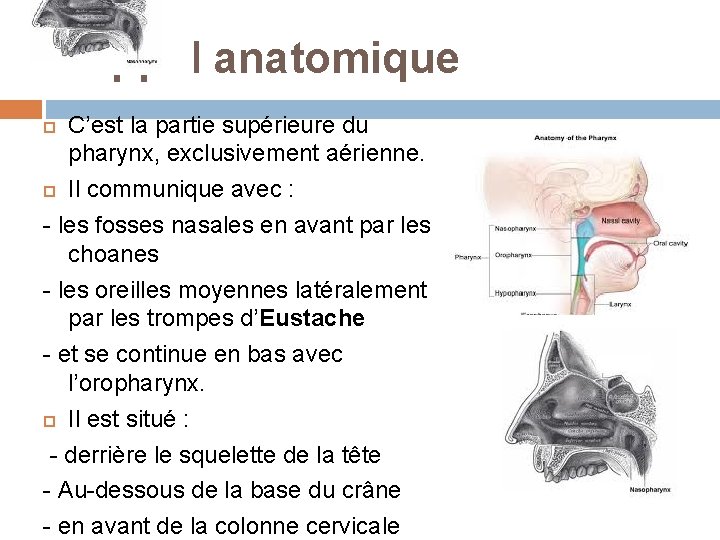 Rappel anatomique C’est la partie supérieure du pharynx, exclusivement aérienne. Il communique avec :