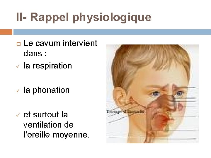  II- Rappel physiologique ü Le cavum intervient dans : la respiration ü la