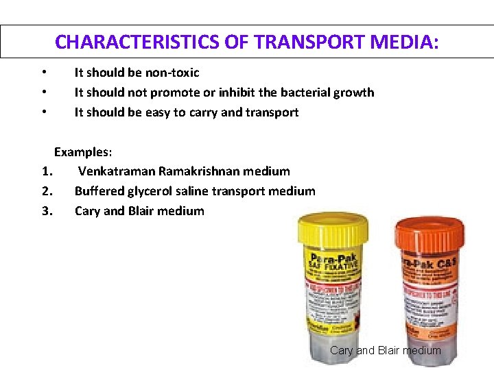 CHARACTERISTICS OF TRANSPORT MEDIA: • • • It should be non-toxic It should not