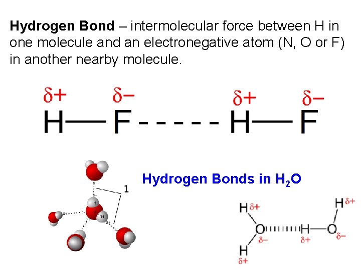 Hydrogen Bond – intermolecular force between H in one molecule and an electronegative atom