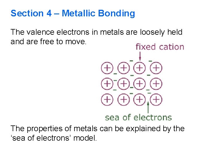 Section 4 – Metallic Bonding The valence electrons in metals are loosely held and