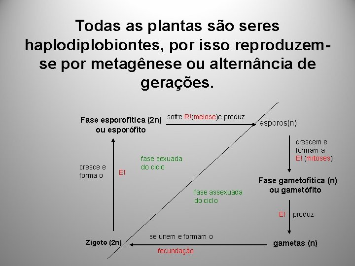 Todas as plantas são seres haplodiplobiontes, por isso reproduzemse por metagênese ou alternância de