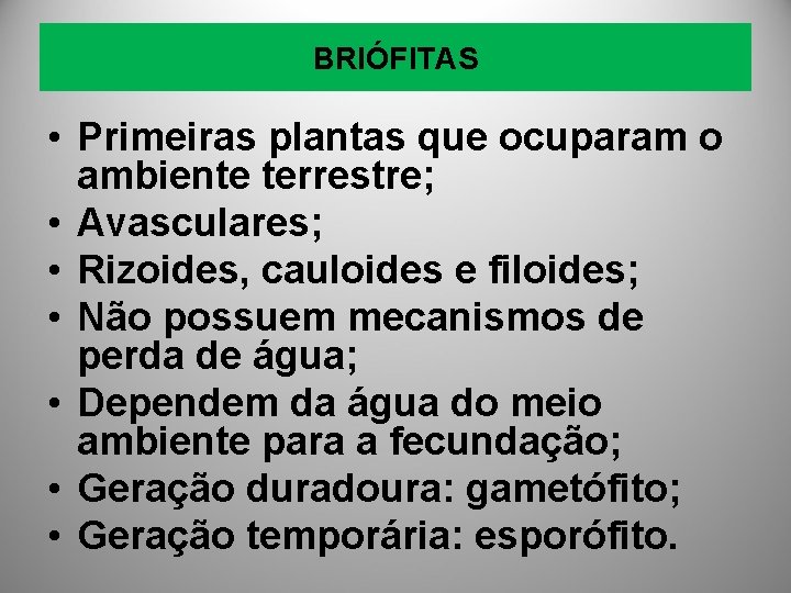BRIÓFITAS • Primeiras plantas que ocuparam o ambiente terrestre; • Avasculares; • Rizoides, cauloides