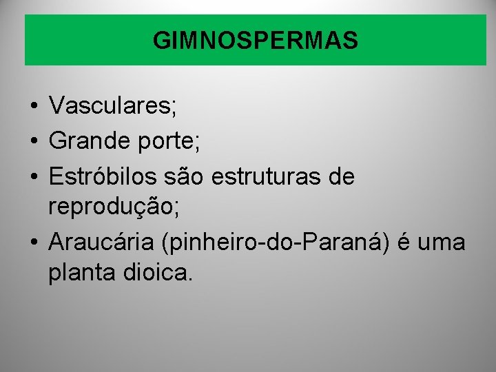 GIMNOSPERMAS • Vasculares; • Grande porte; • Estróbilos são estruturas de reprodução; • Araucária