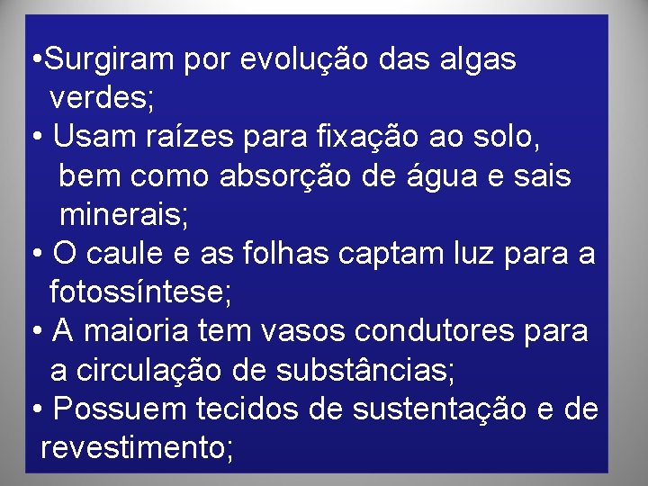  • Surgiram por evolução das algas verdes; • Usam raízes para fixação ao
