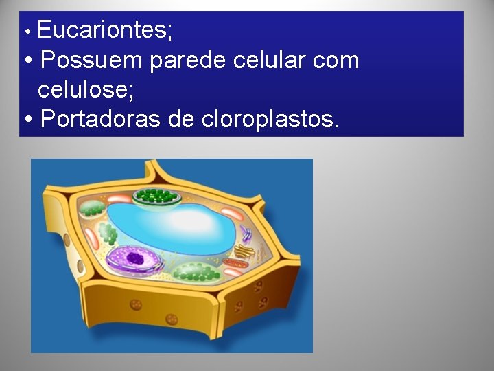  • Eucariontes; • Possuem parede celular com celulose; • Portadoras de cloroplastos. 