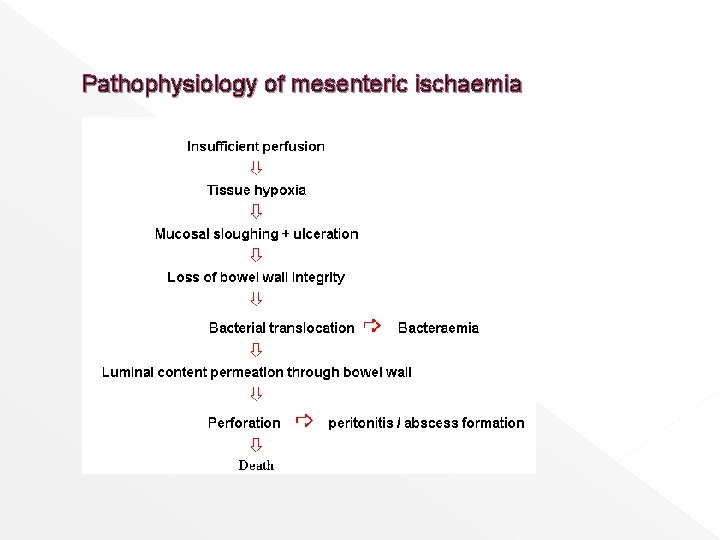 Pathophysiology of mesenteric ischaemia 