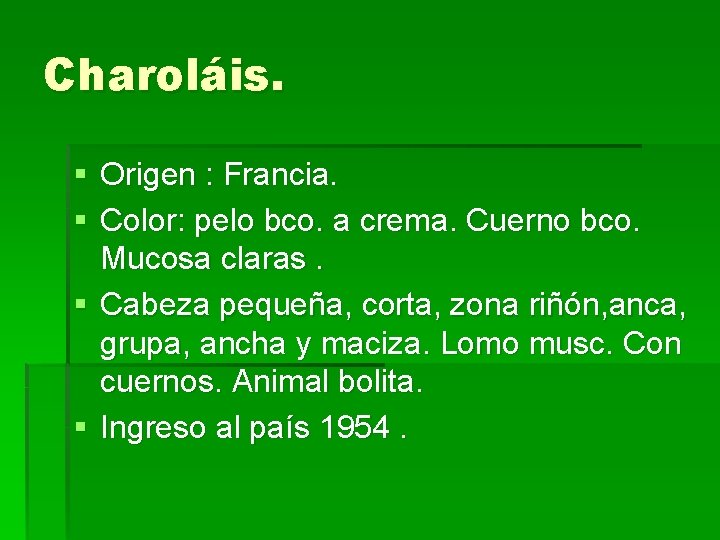 Charoláis. § Origen : Francia. § Color: pelo bco. a crema. Cuerno bco. Mucosa