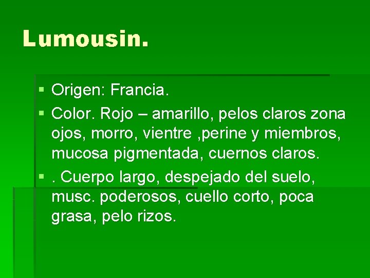 Lumousin. § Origen: Francia. § Color. Rojo – amarillo, pelos claros zona ojos, morro,