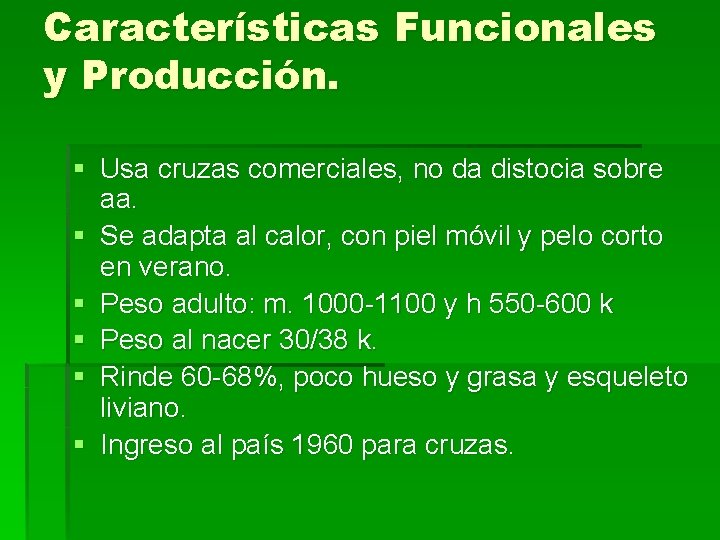 Características Funcionales y Producción. § Usa cruzas comerciales, no da distocia sobre aa. §
