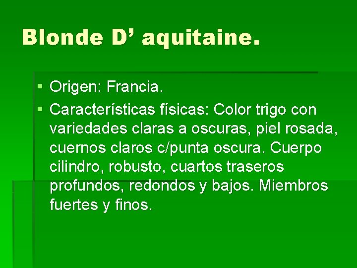 Blonde D’ aquitaine. § Origen: Francia. § Características físicas: Color trigo con variedades claras