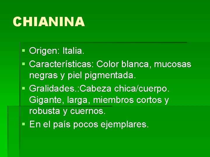 CHIANINA § Origen: Italia. § Características: Color blanca, mucosas negras y piel pigmentada. §