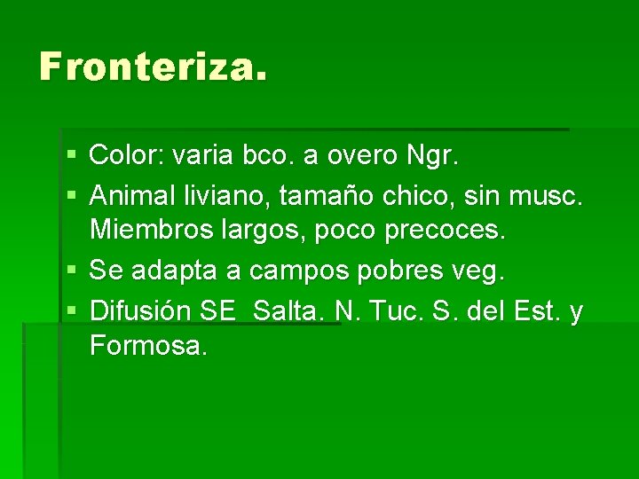 Fronteriza. § Color: varia bco. a overo Ngr. § Animal liviano, tamaño chico, sin