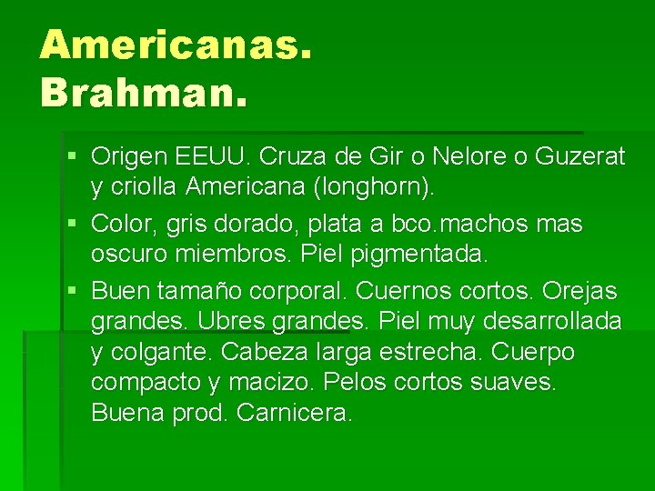 Americanas. Brahman. § Origen EEUU. Cruza de Gir o Nelore o Guzerat y criolla
