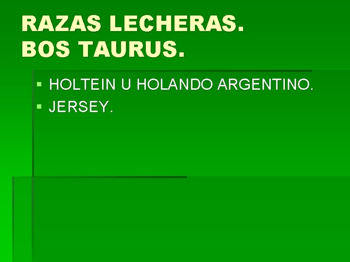 RAZAS LECHERAS. BOS TAURUS. § HOLTEIN U HOLANDO ARGENTINO. § JERSEY. 