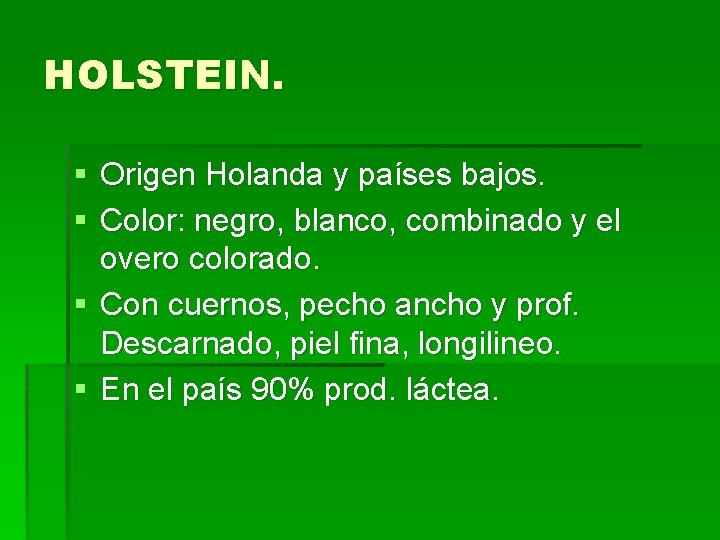 HOLSTEIN. § Origen Holanda y países bajos. § Color: negro, blanco, combinado y el