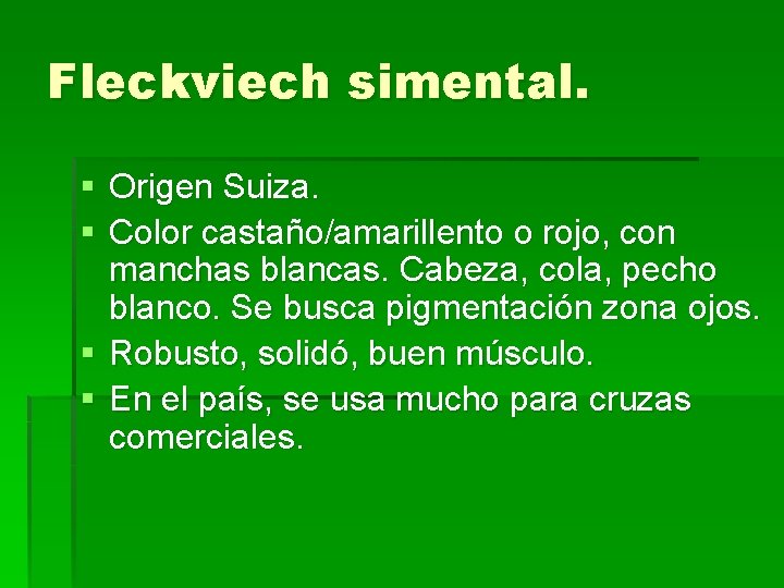 Fleckviech simental. § Origen Suiza. § Color castaño/amarillento o rojo, con manchas blancas. Cabeza,
