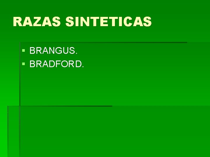 RAZAS SINTETICAS § BRANGUS. § BRADFORD. 